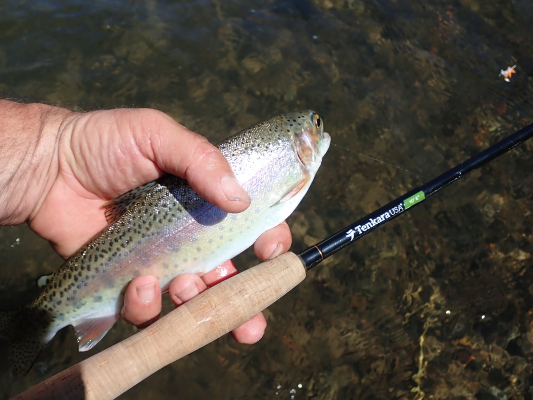 Tenkara evenin 2.jpg.jpg